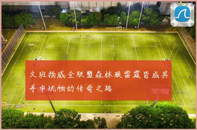 文班扬威全联盟森林狼雷霆皆成其手中玩物的传奇之路