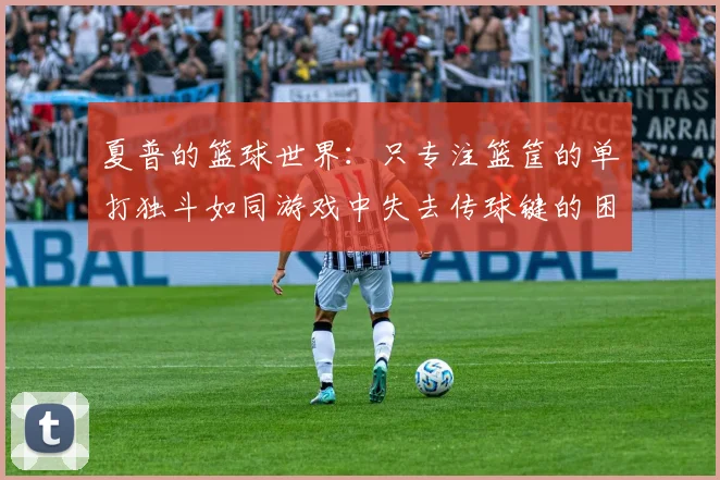 夏普的篮球世界:只专注篮筐的单打独斗如同游戏中失去传球键的困境
