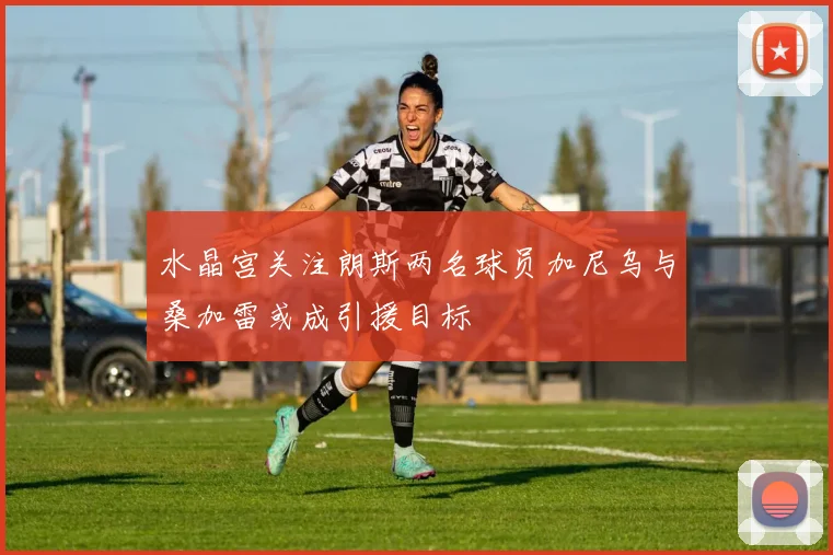 水晶宫关注朗斯两名球员加尼乌与桑加雷或成引援目标
